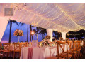 event-organizer-small-0